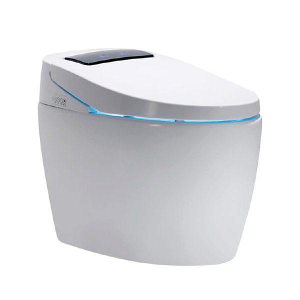 Intelligent Water Closet WC-1004