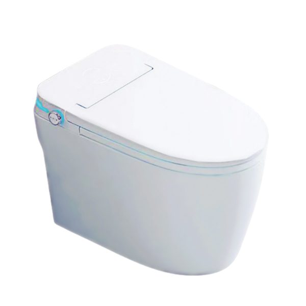 Intelligent Water Closet with Tank WC-1009-S250mm