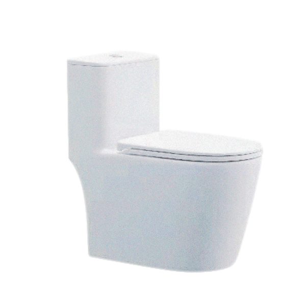 Siphonic One-piece Closet WC-2020